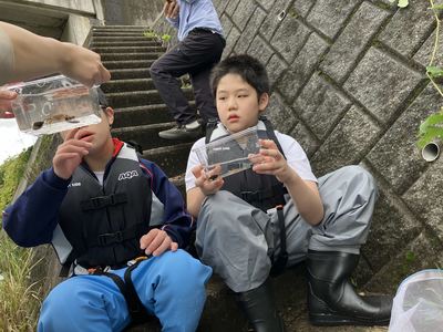 ３